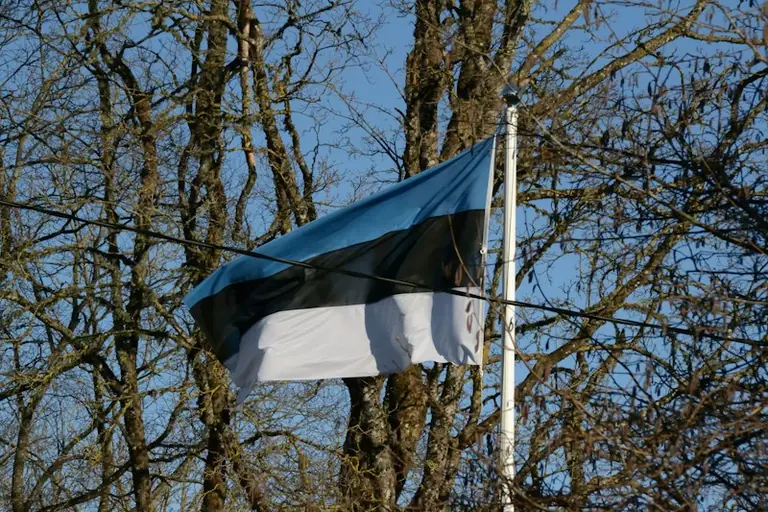 Sinimustvalge tähendus ja Eesti lipu kujunemine