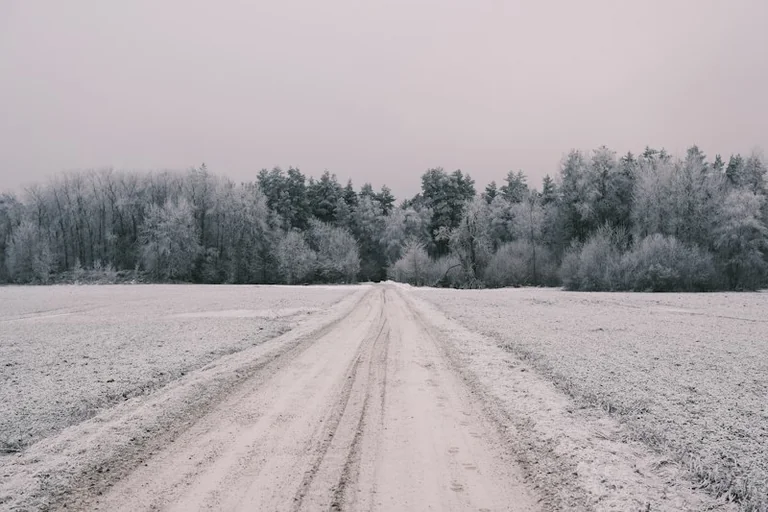 Talverehvid Eestis: kohustus algab 1. detsembril